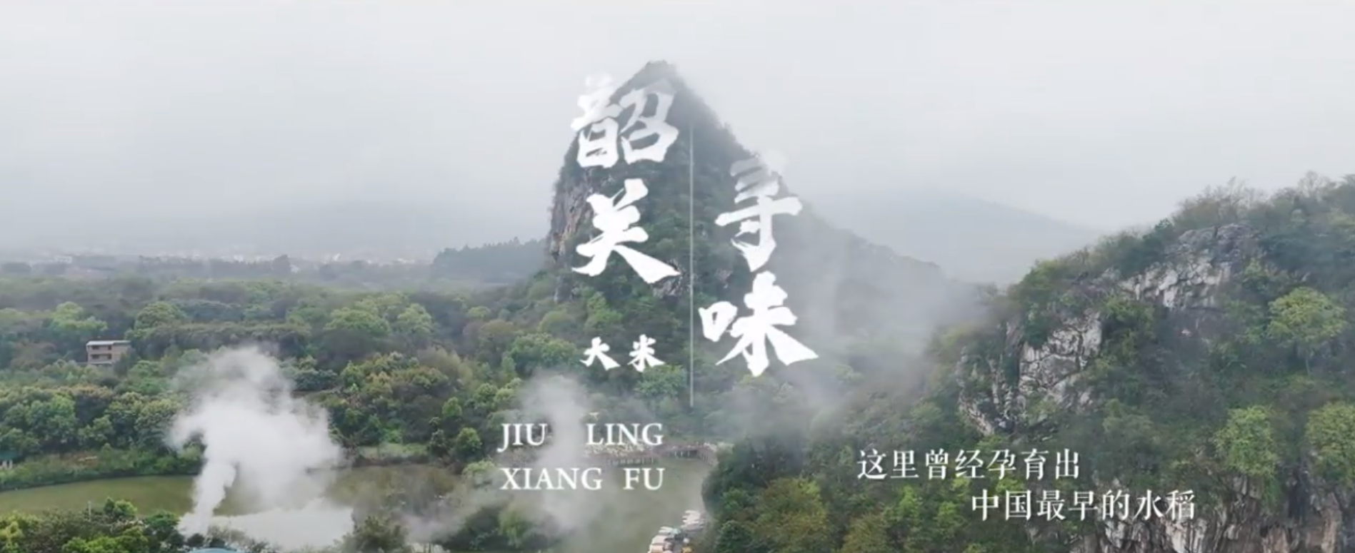 微信图片_20250303160942